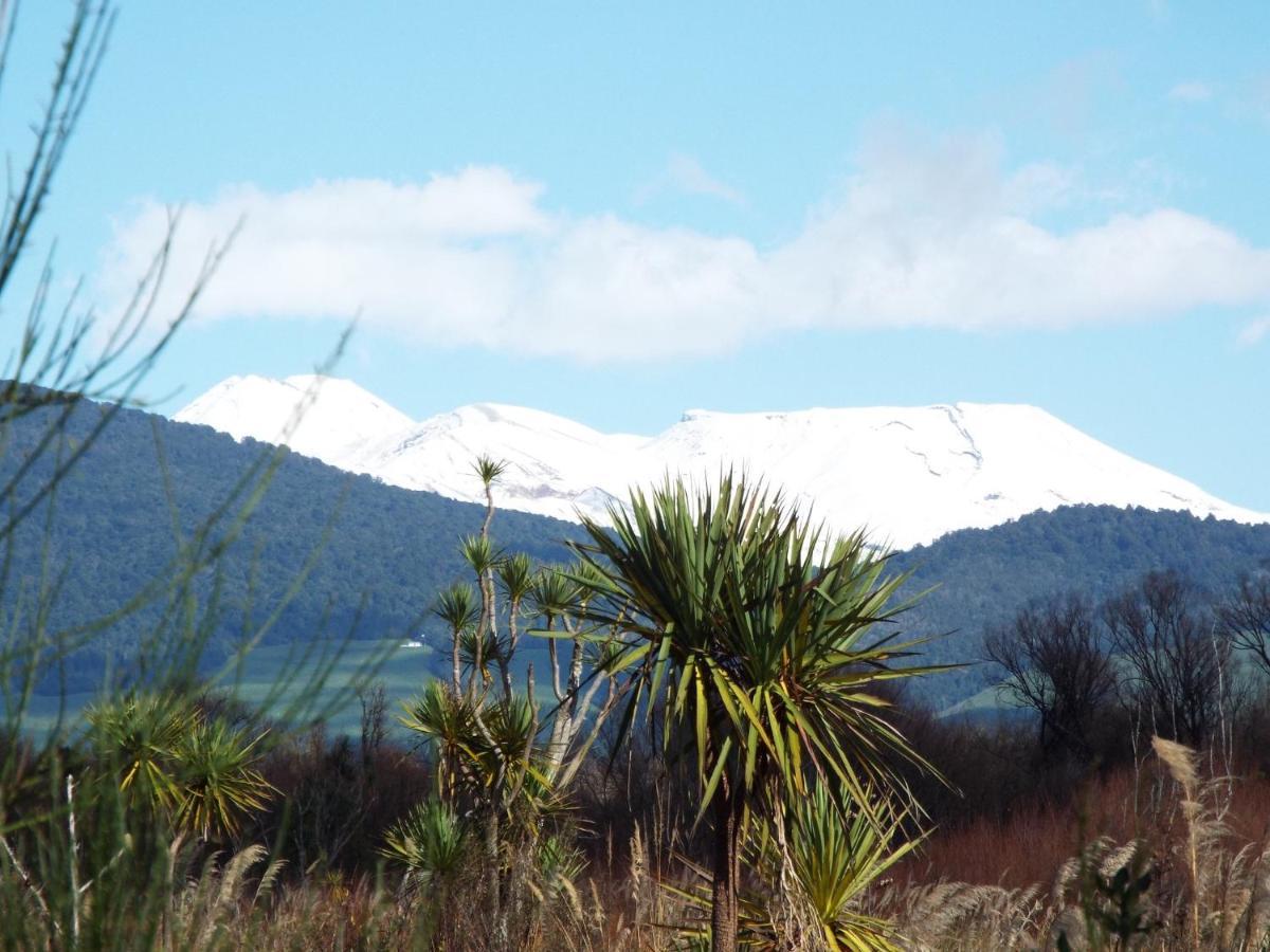 10 @ Wai Matangi Vila Turangi Exterior foto
